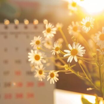 Daisy flowers in golden sunlight with blurred calendar in background indicating spring season.
